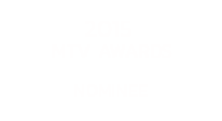 2015 MTV awards