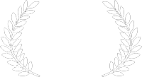 village voice poll award